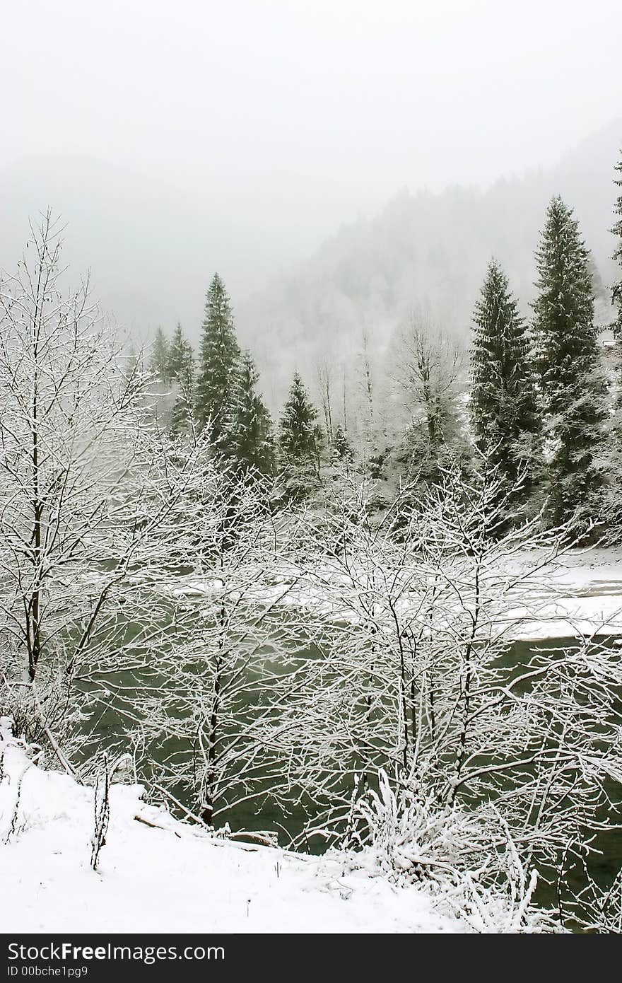 Fog winter season landscape with trees