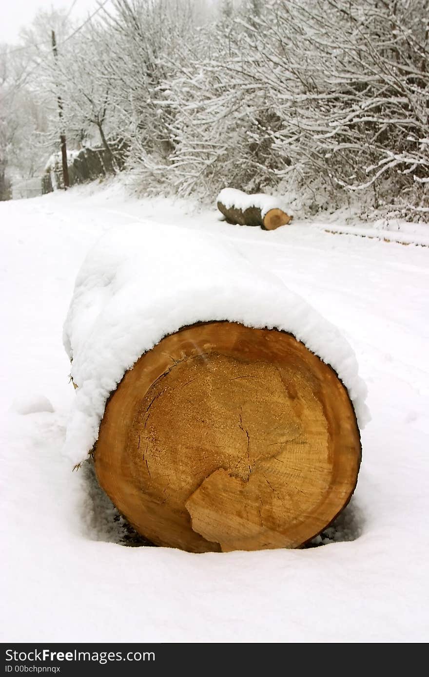 Cut wood log covered by snow. Cut wood log covered by snow