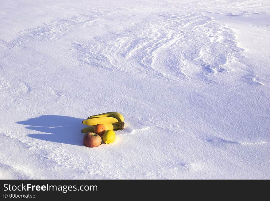 Fruit-piece on the snowdrift