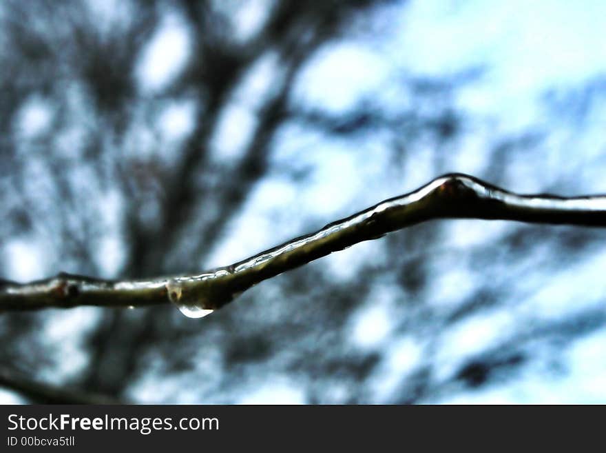 Ice photo on a frozen winter morning