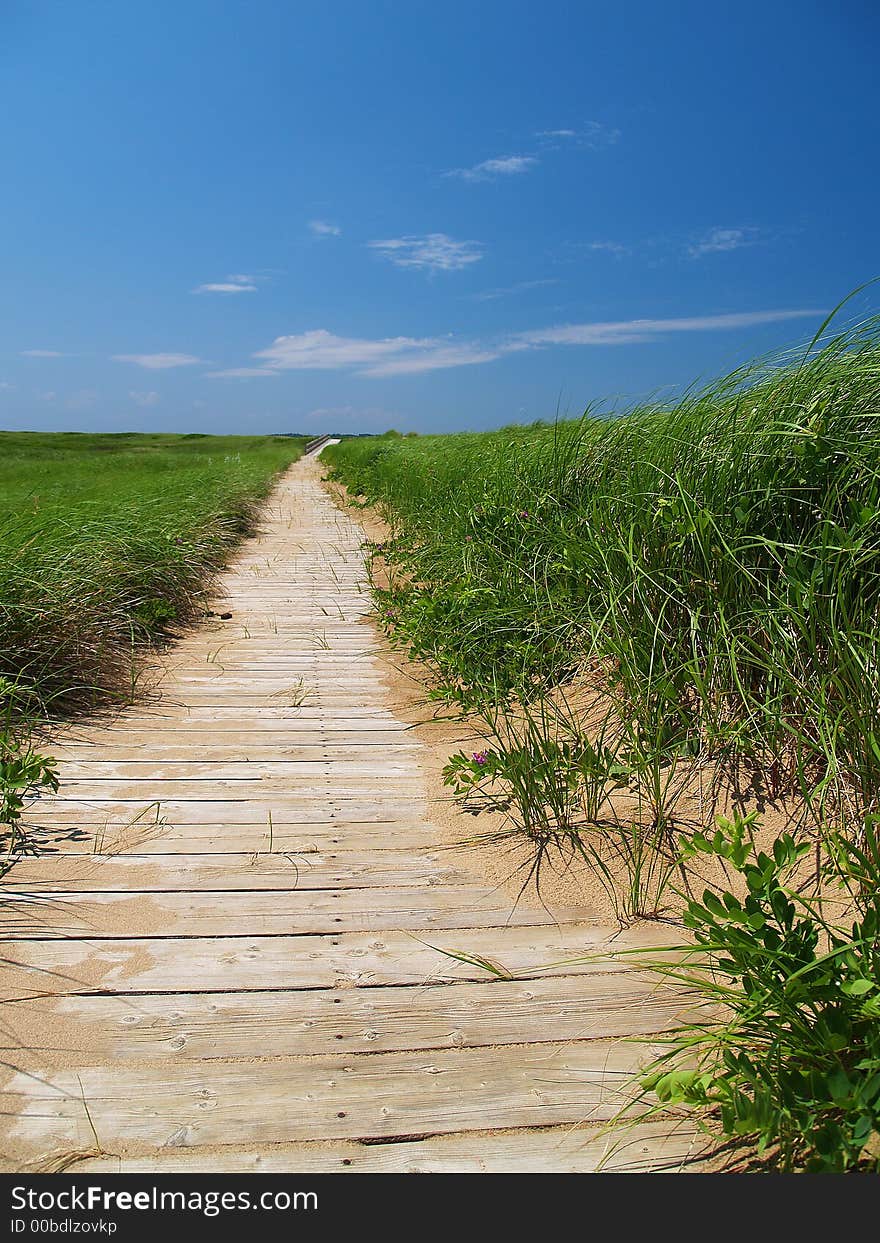 Wodden Path behind the dunes of a beach amdist tall grass. Wodden Path behind the dunes of a beach amdist tall grass.