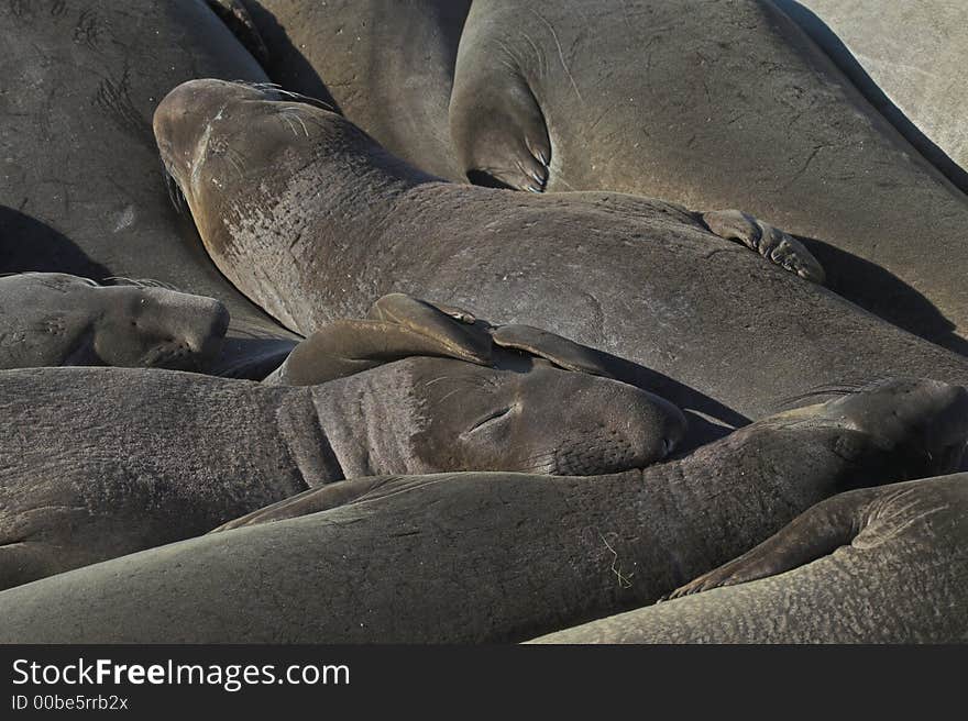 Seals