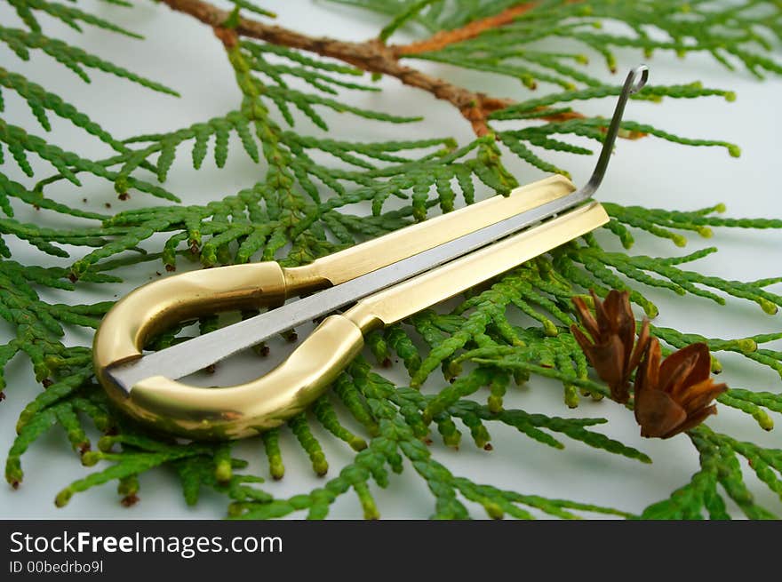 Jew's harp on green branch