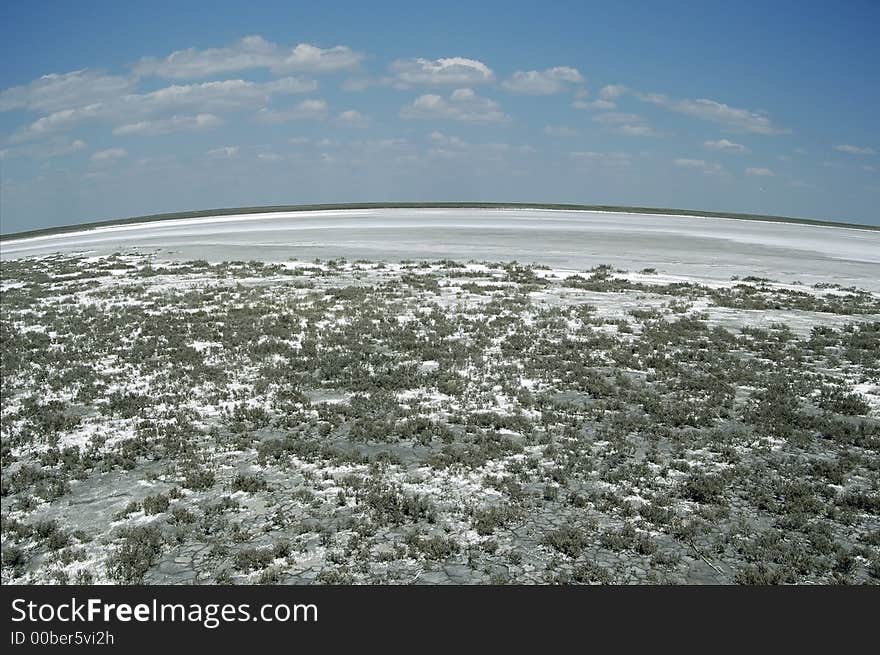 A dried-up salt lake is in steppe of Kazakhstan