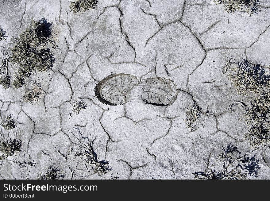 Imprint of leg ashore the salted lake. Imprint of leg ashore the salted lake