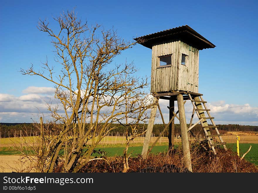 A raised hide besides a tree without leaves.