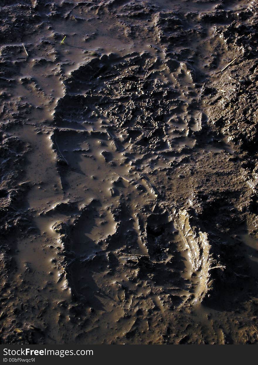 Print of shoe in the mud