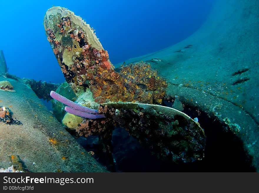 Wreck Hilma Bonaire