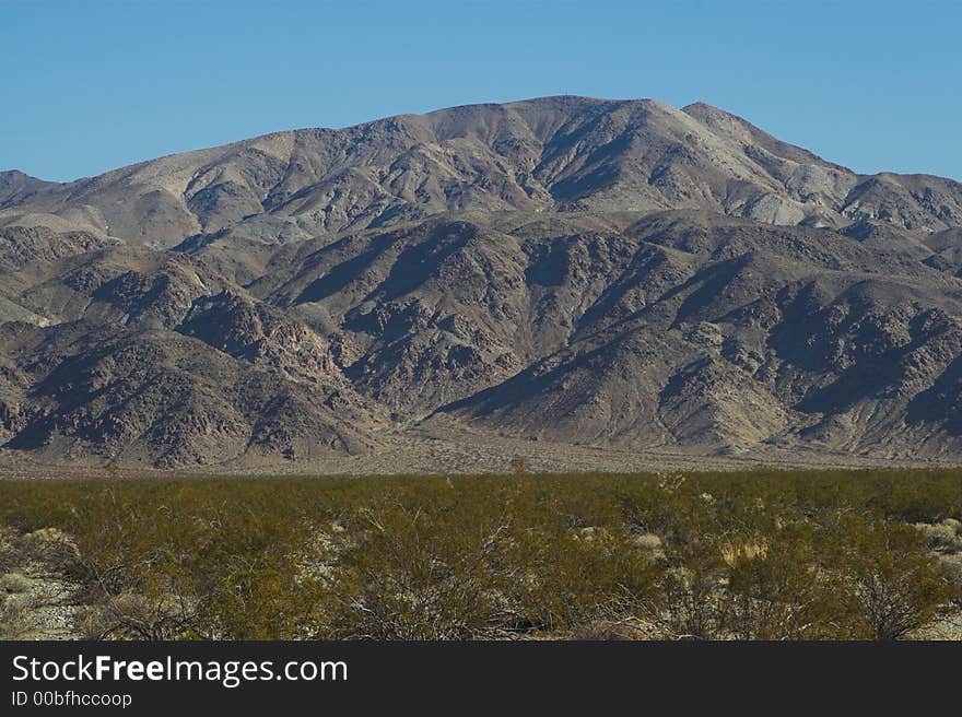 Mojave Desert in Joshua Tree National Park