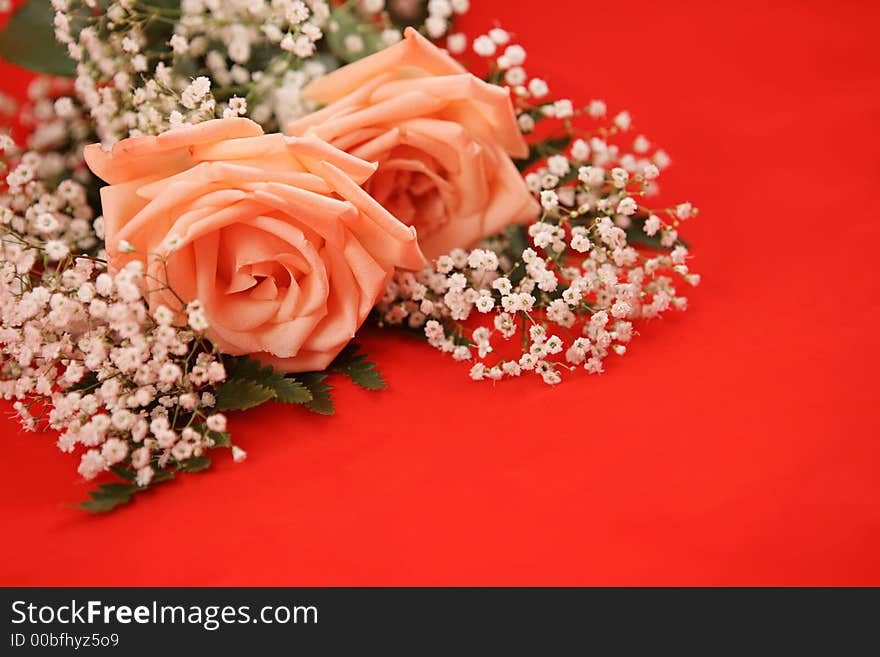 A bouquet of pink roses and baby's breath on a bright red background.  Room for text. A bouquet of pink roses and baby's breath on a bright red background.  Room for text.