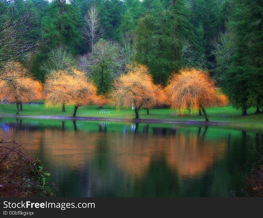 Richly colored trees reflecting in the lake. Richly colored trees reflecting in the lake