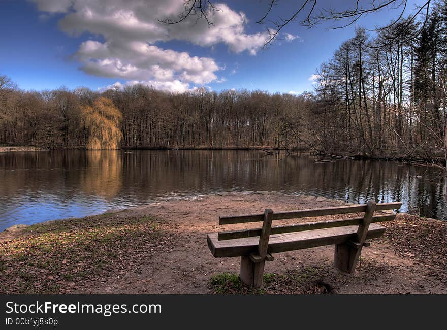 Forest and Park Bench