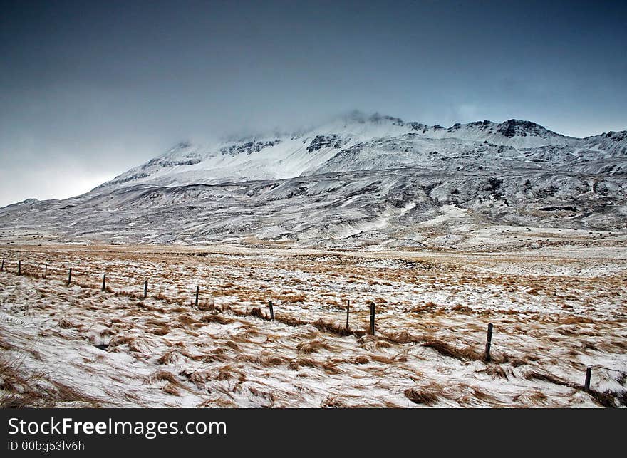 Pastureland