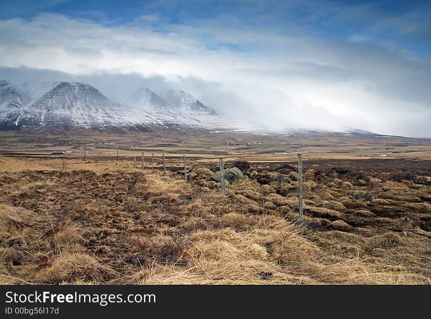 Pastureland