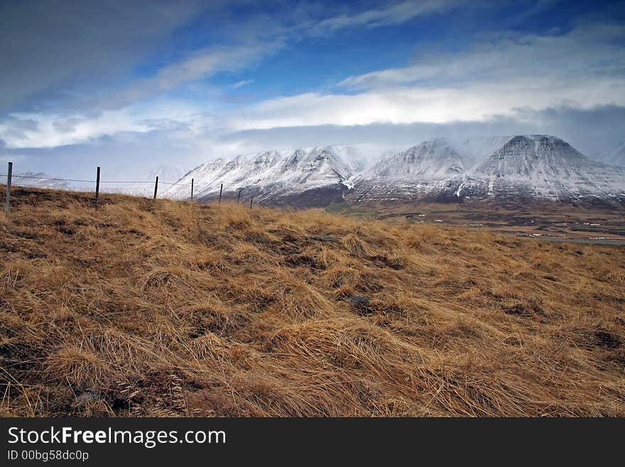 Pastureland