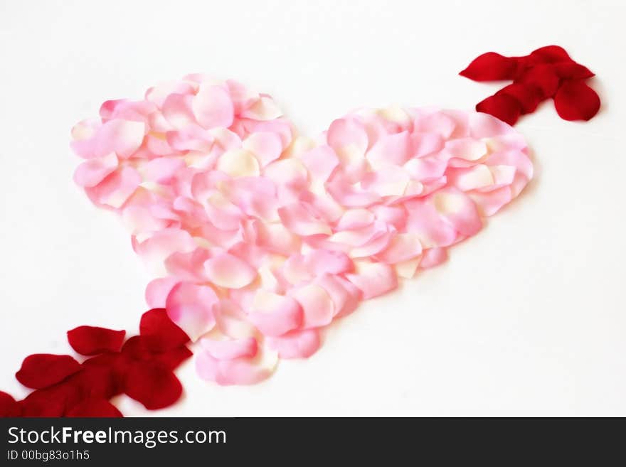 Pink, red, and white rose petals arranged in heart shape with a arrow through it over white. Pink, red, and white rose petals arranged in heart shape with a arrow through it over white