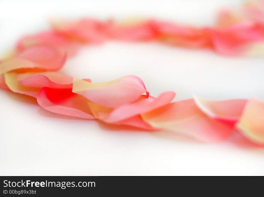 Pink, white and yellow rose petals arranged in a partial heart shape on a white background. Pink, white and yellow rose petals arranged in a partial heart shape on a white background