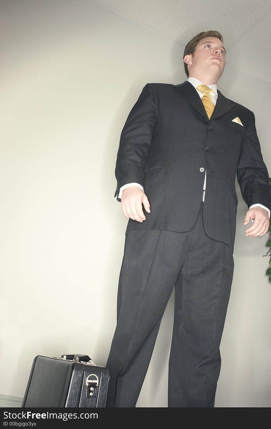 Businessman standing looking ahead from a low angle with his briefcase at his side in the office. Businessman standing looking ahead from a low angle with his briefcase at his side in the office