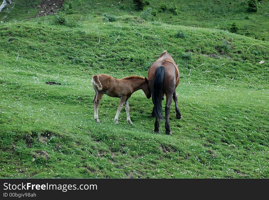 Mother and her beautiful baby. Mother and her beautiful baby