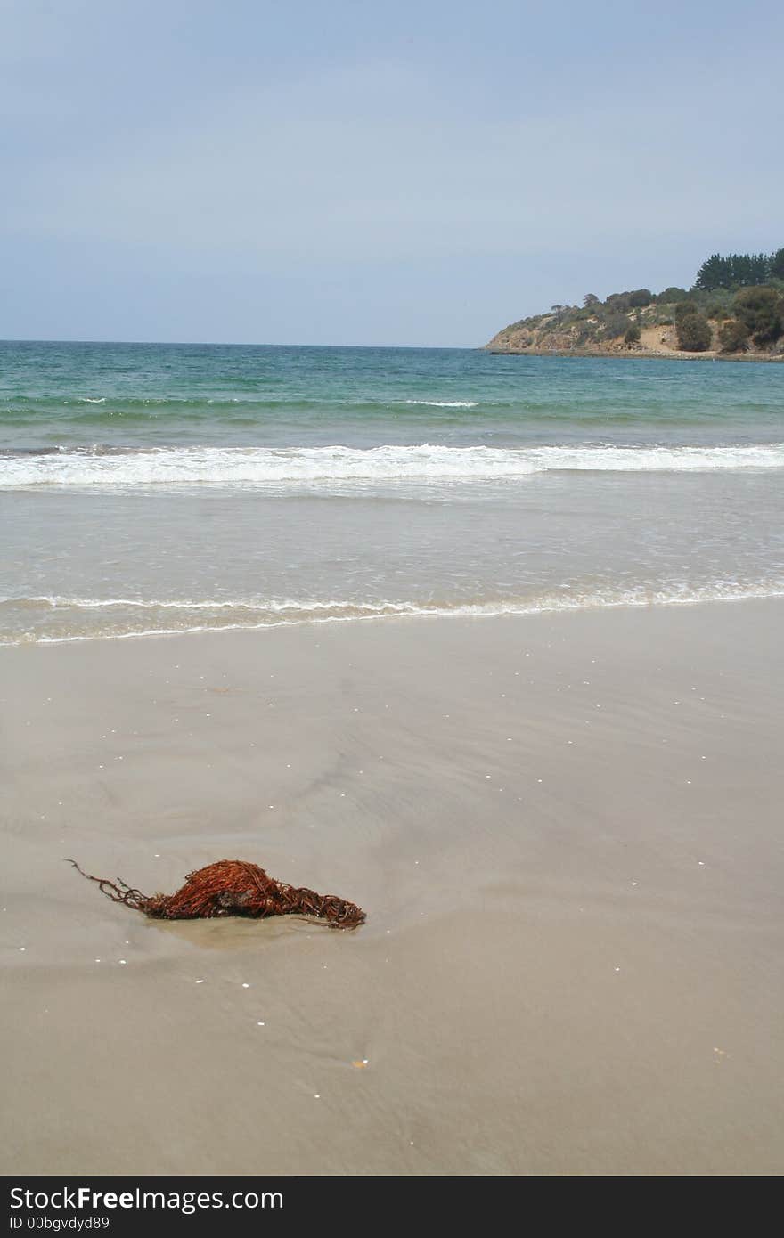 Primrose Sands Beach