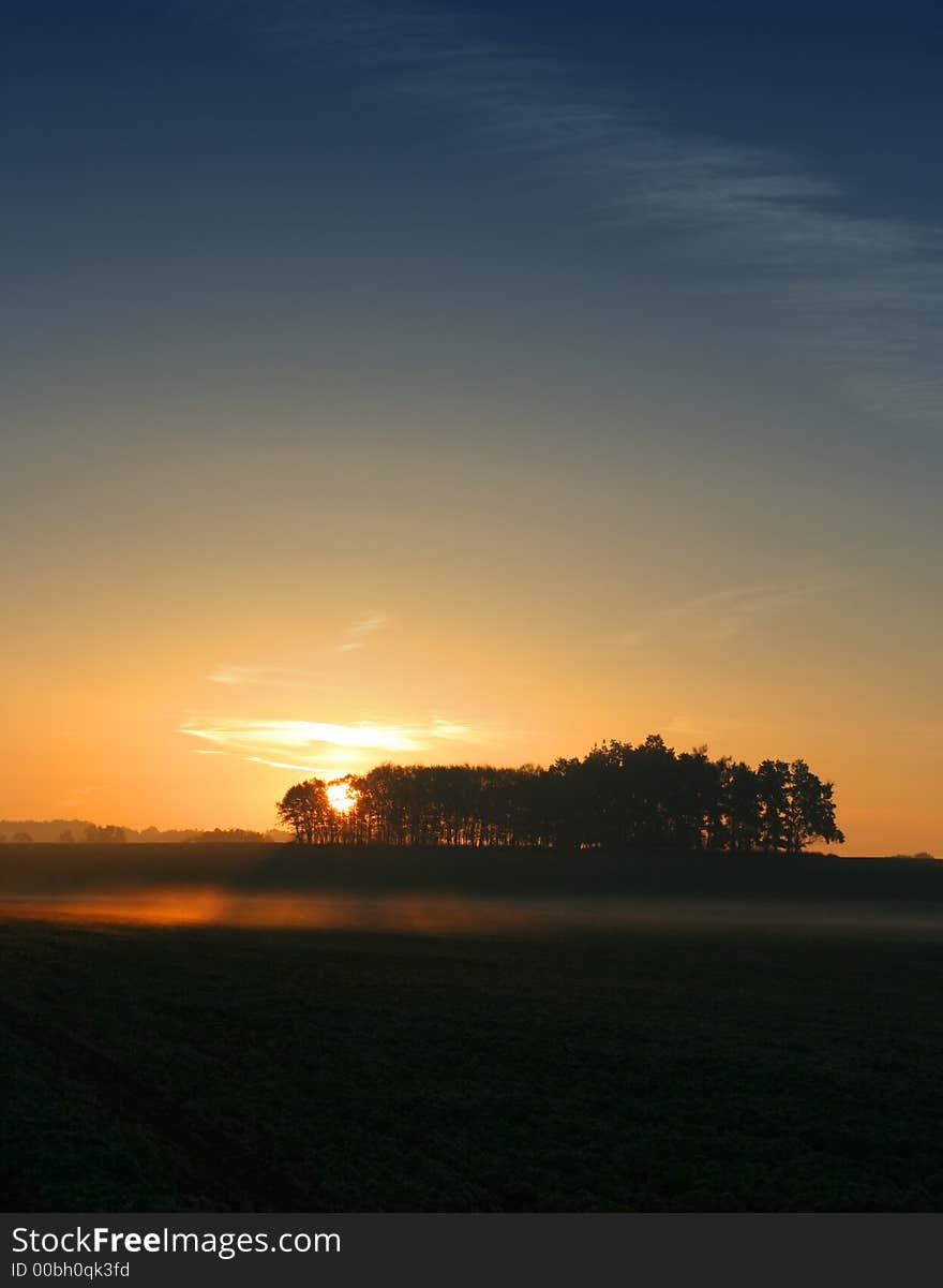 Sun rays crossing a misty trees photographed in an early autumn morning. Sun rays crossing a misty trees photographed in an early autumn morning.