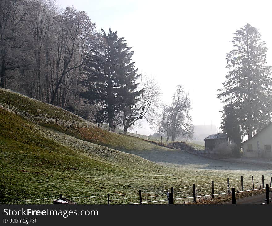 Lone Tree in Foggy Field with a house and blue background