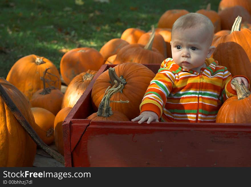 Image of baby sitting in a wagon surrounded by pumpkins. Image of baby sitting in a wagon surrounded by pumpkins