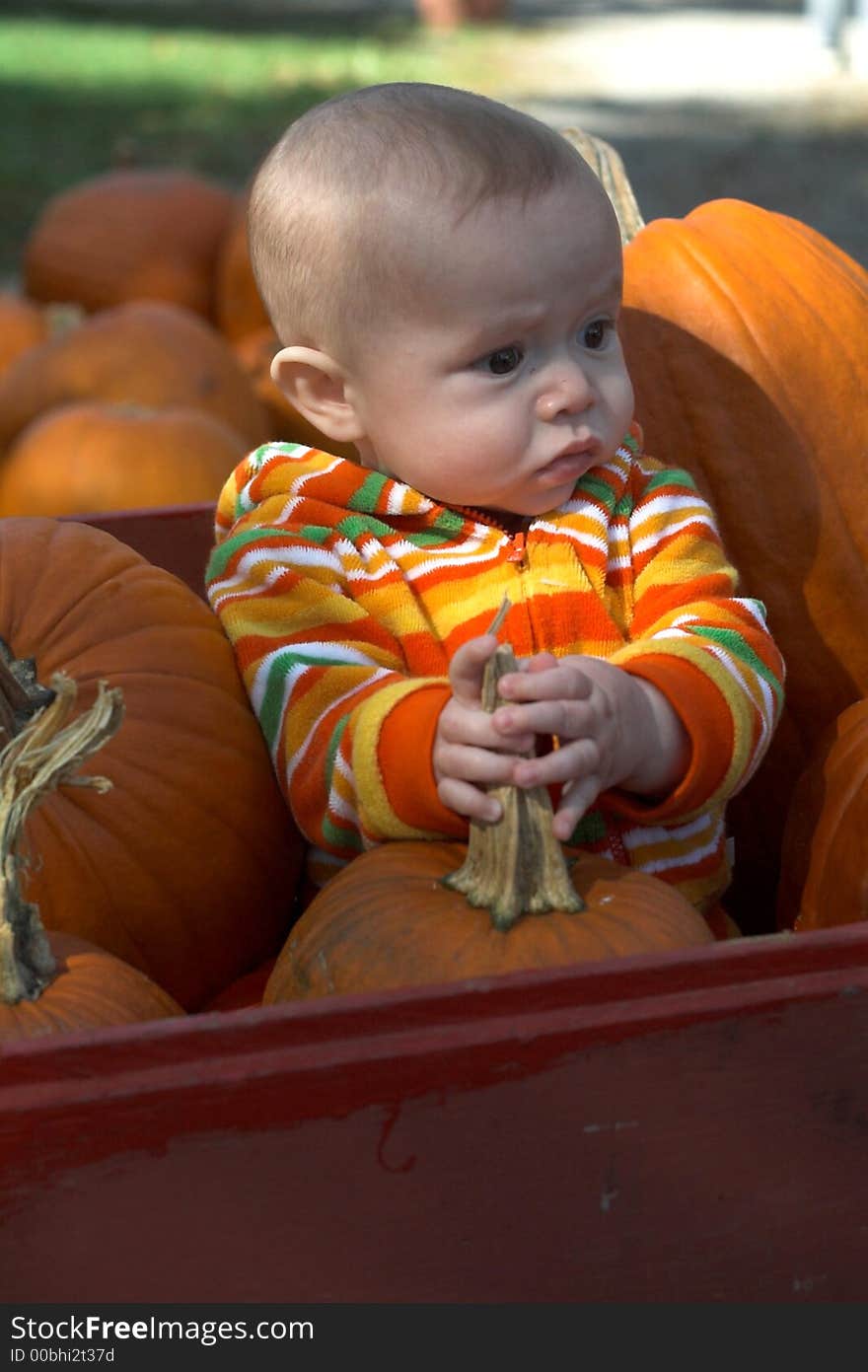 Image of baby sitting in a wagon surrounded by pumpkins. Image of baby sitting in a wagon surrounded by pumpkins