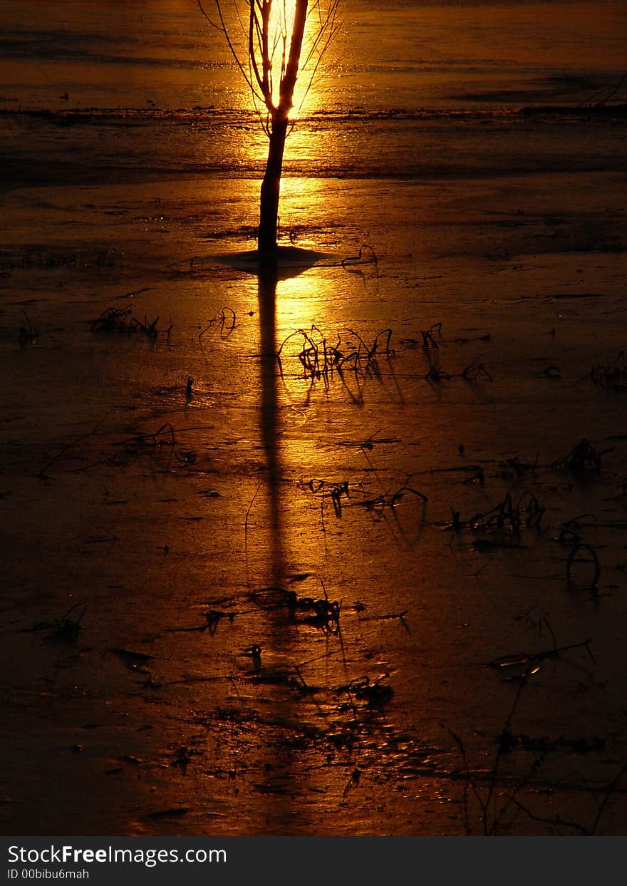 Sunset on the gold river