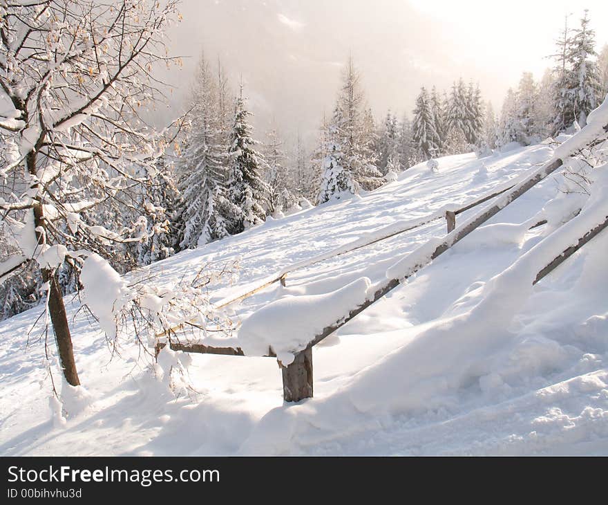 Winter scene snow and trees