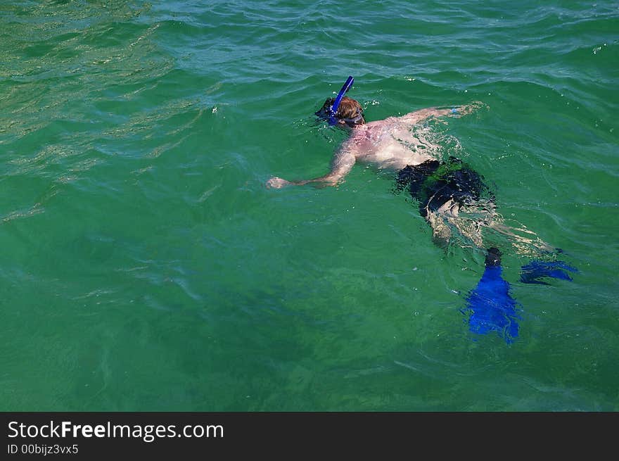 Snorkeler Swimming in Blue Caribbean Sea. Snorkeler Swimming in Blue Caribbean Sea