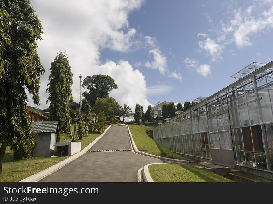 A greenhouse beside a concrete path