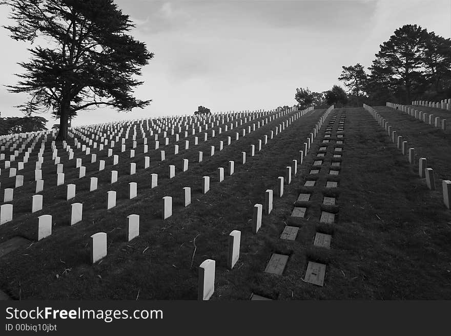 Shot of headstones in the San Francisco National Cemetery near the Golden Gate Bridge.