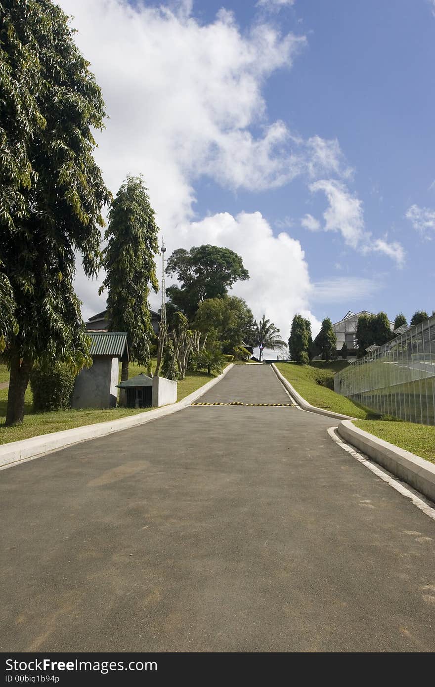 Concrete path beside a greenhouse