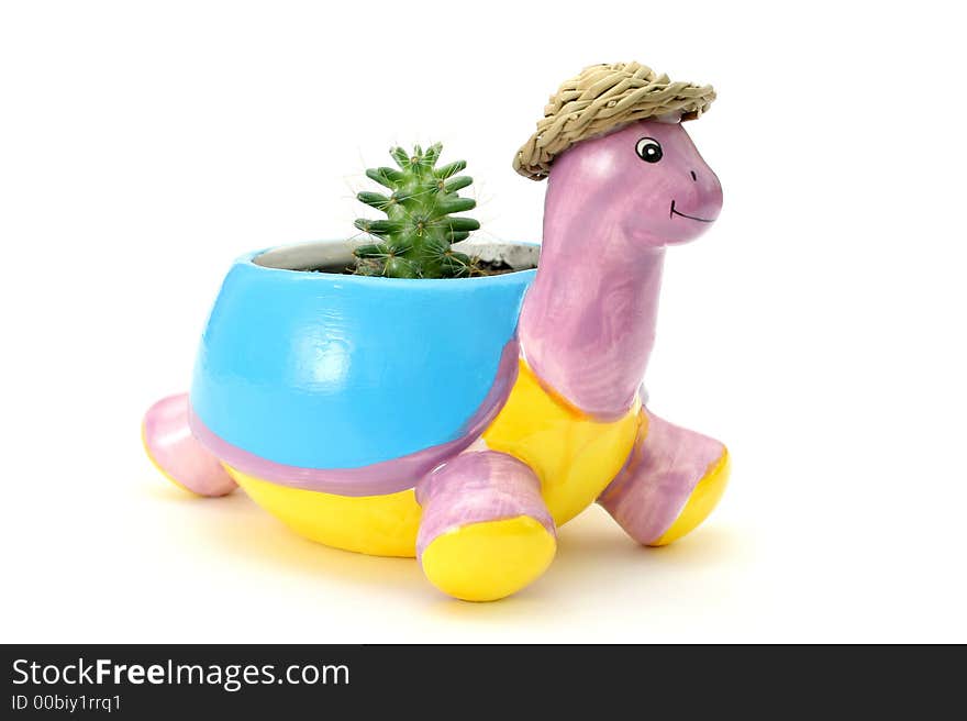 Color pot for plants a turtle. Color pot for plants a turtle