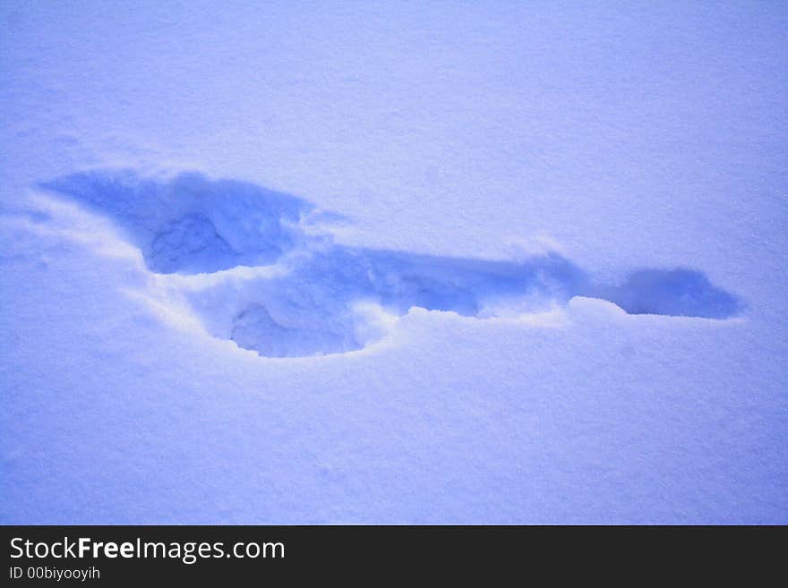 Footprint On Fresh Snow