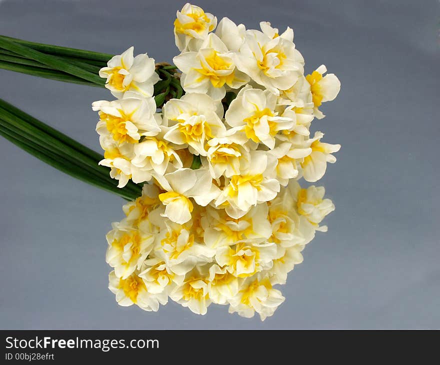 A white and yellow flowers reflected on a mirror