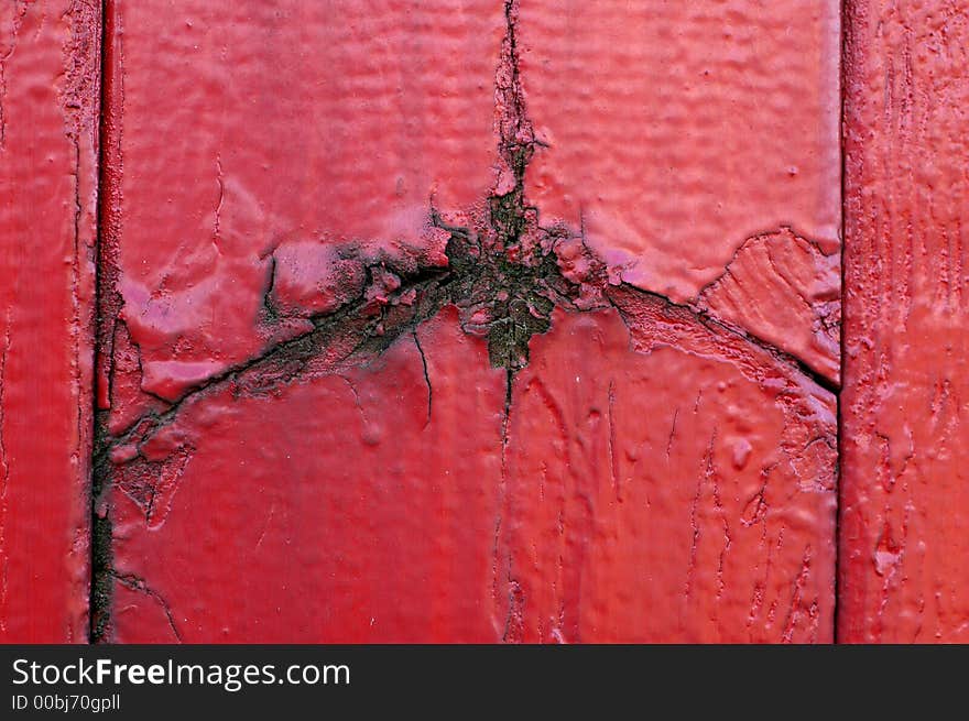 Wood background in various color