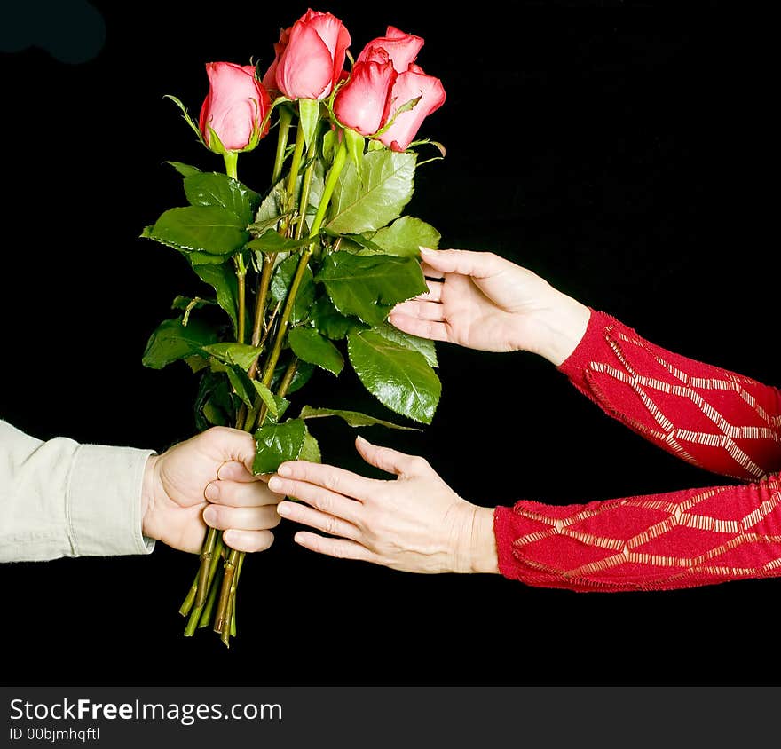 Man handing a woman roses in a gesture of love, isolated over black. Man handing a woman roses in a gesture of love, isolated over black