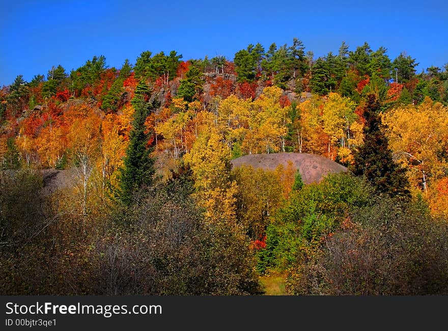 Colorful trees on a hill at copper harbor area. Colorful trees on a hill at copper harbor area