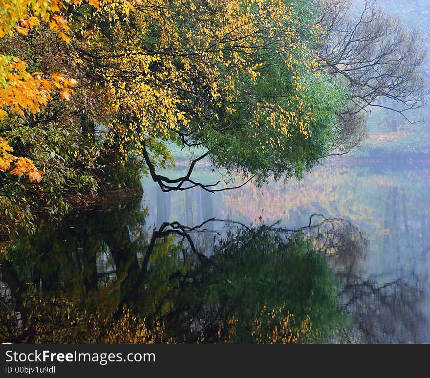 Autumn Park