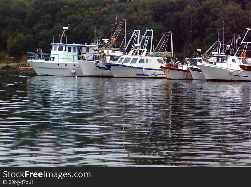 Yachts and boats lying in marine