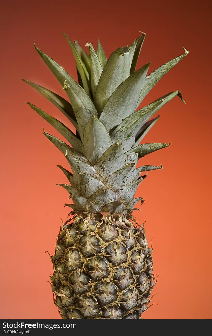 Pineapple Fruit