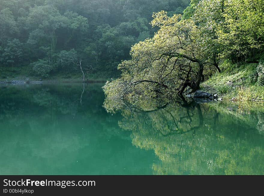 Very good back water photo, untouched, from north east of india. Very good back water photo, untouched, from north east of india