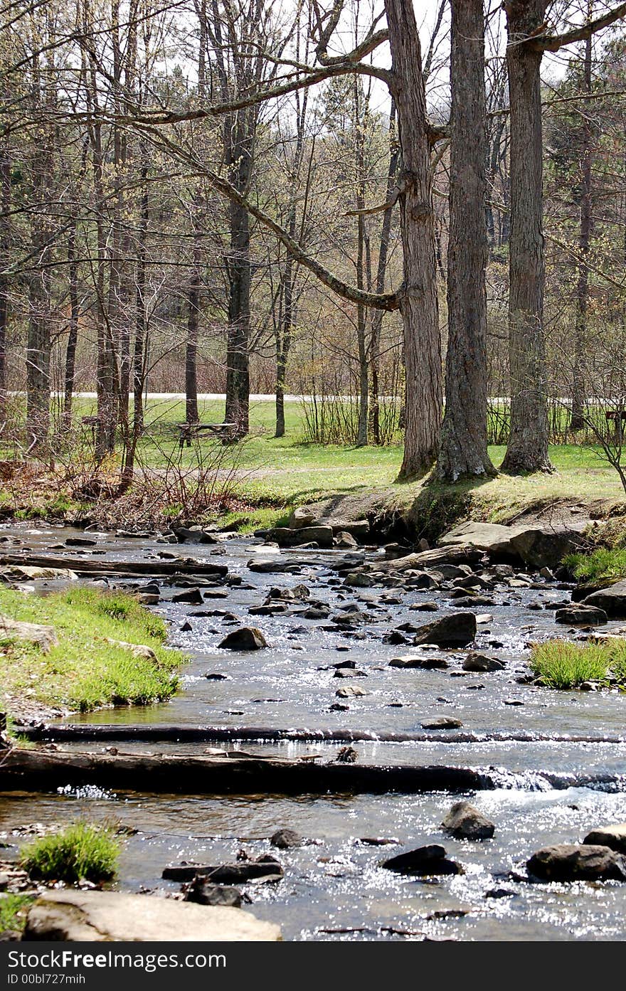 River running through the trees on a sunny day. River running through the trees on a sunny day.