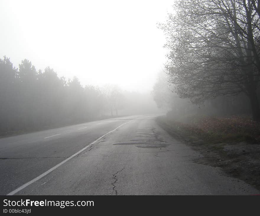 A road nearby Svishtov, BG. In the winter season. A road nearby Svishtov, BG. In the winter season.