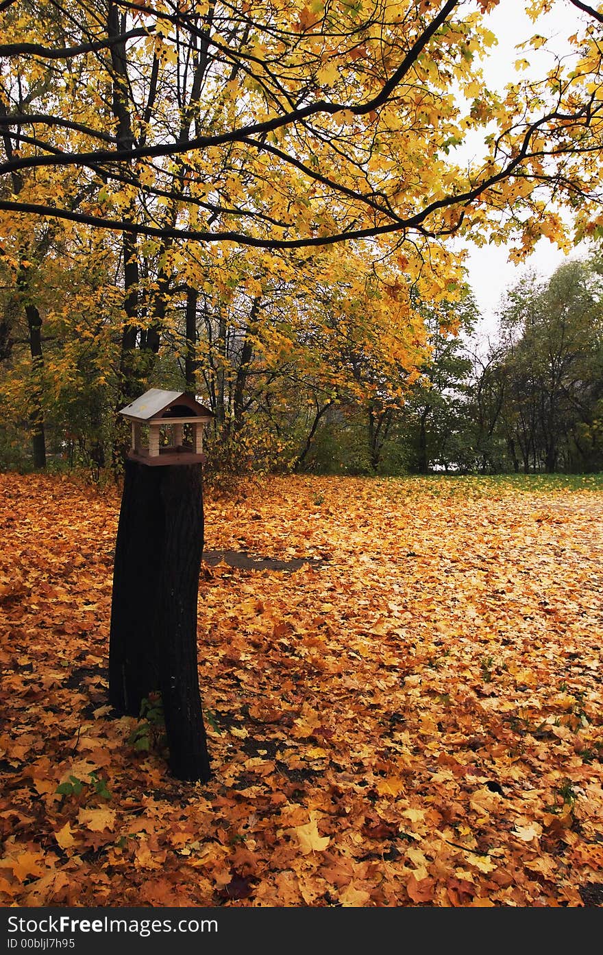 Corner of old park