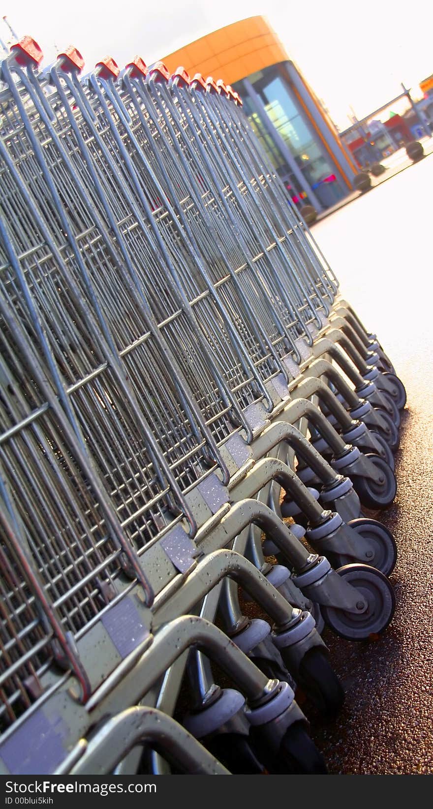 Shopping carts in a row towards entrance of a shopping mall.