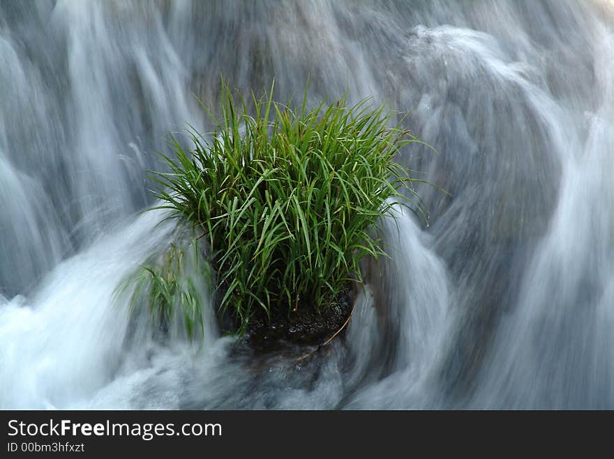 Grass with drops in a stream of waterfall. Grass with drops in a stream of waterfall