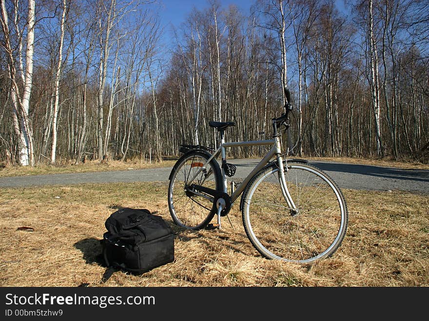 A Rest In The Forest